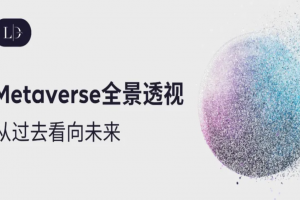 Metaverse全景透视：从过去看向未来