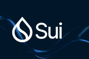 崛起中的 Sui：这一新兴区块链如何塑造加密货币的未来